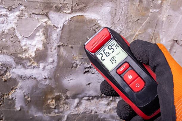 Best Residential Mold Inspection & Testing  in Oneonta, AL